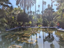 Majorelle bassin marrakech riaddartaliwint