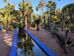 Majorelle détail Marrakech Riaddartaliwint