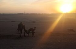 Agafay sunset riad dar taliwint marrakech